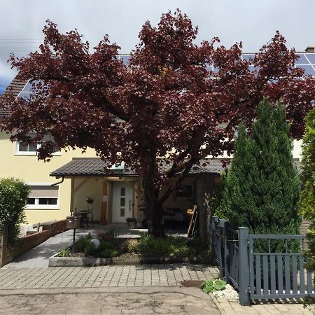 Apartmentvermietung Ingrid Bolkart - Landleben 6 Illertissen Bagian luar foto